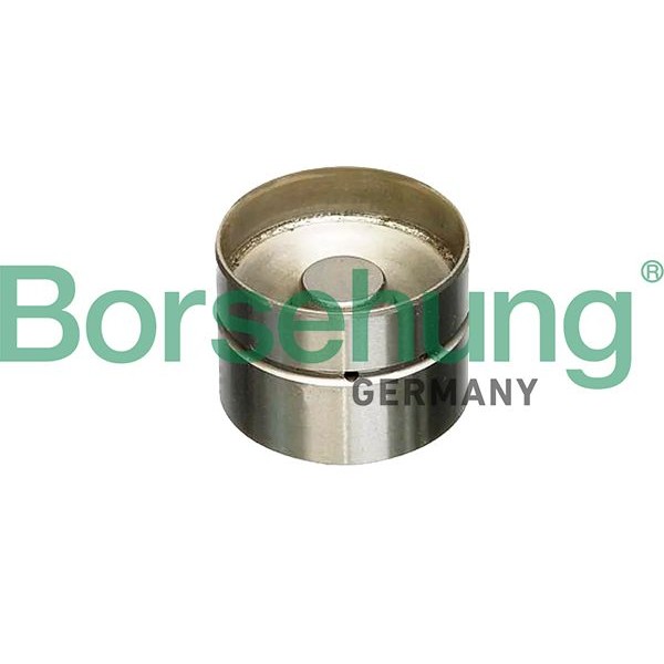 Оценка и мнение за Повдигач на клапан Borsehung B18837